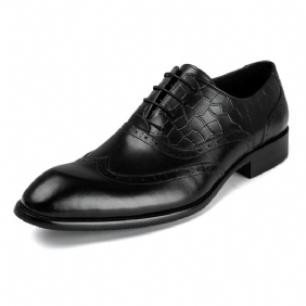 Nahkaiset Miesten Oxford-mekkokengät Brogue-kengät Veistetyt Kengät Työmekot Mekkokengät Ammattimaiset