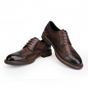 Kengät Miesten Nahka Oxford Mekko Business Casual Brogue Kaiverretut Hääkengät Derby